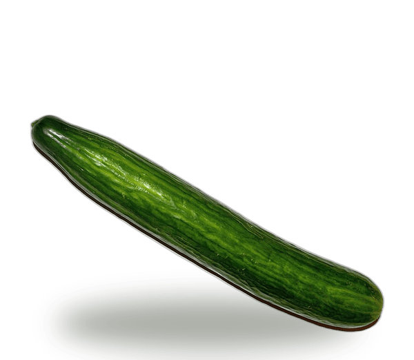 Cucumber