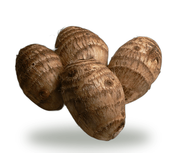 Dasheen