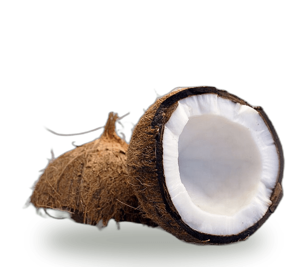 Dry Coconut