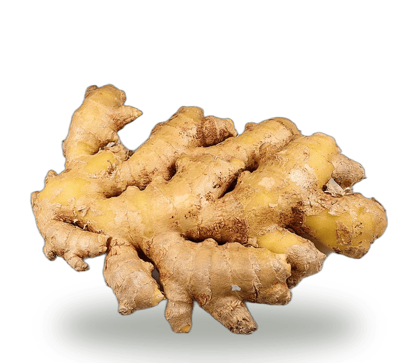 Ginger