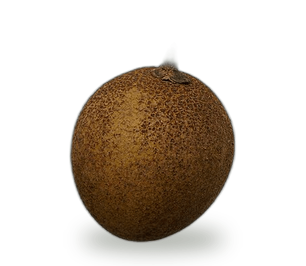 Naseberry