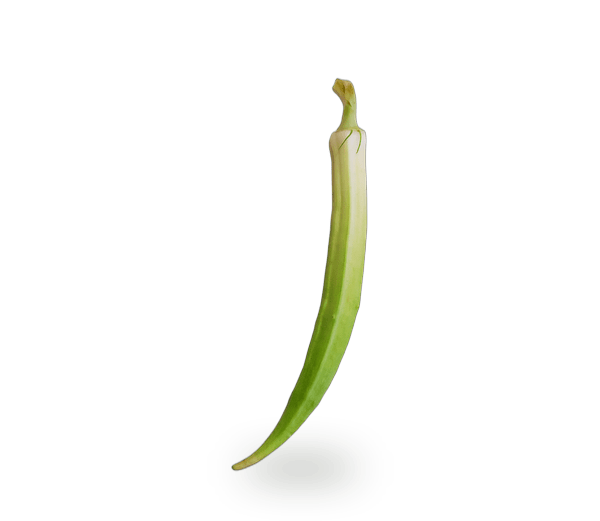 Okra