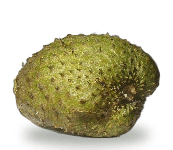 Soursop