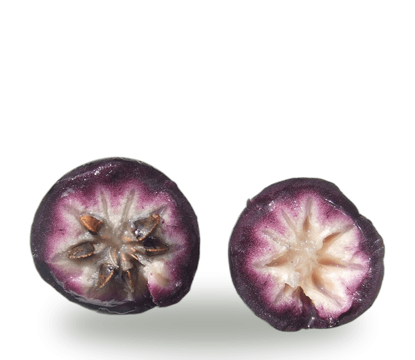 Star Apple