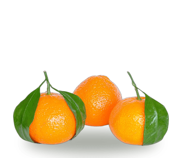 Tangerine